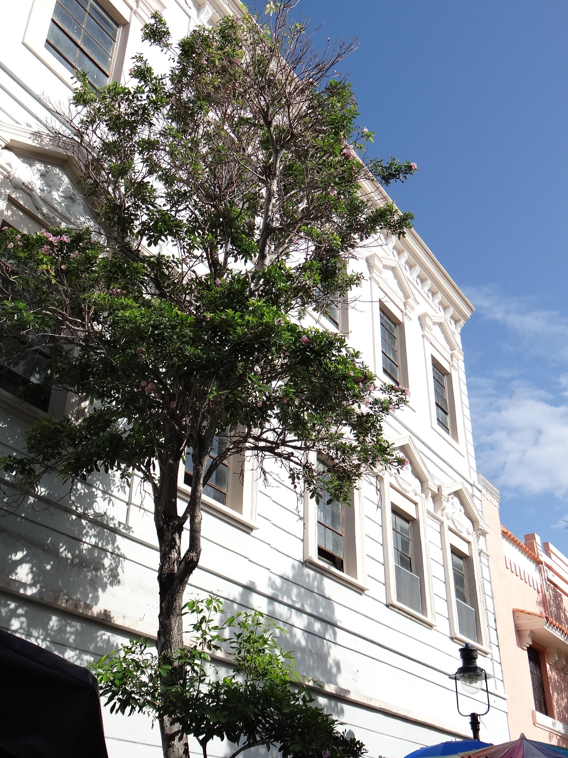 Edificio en la calle Isabel y calle Atocha - Ponce - 2013 00003